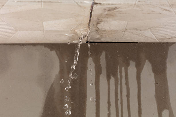 Professional Sewage Cleanup technician working in Bergenfield, NJ